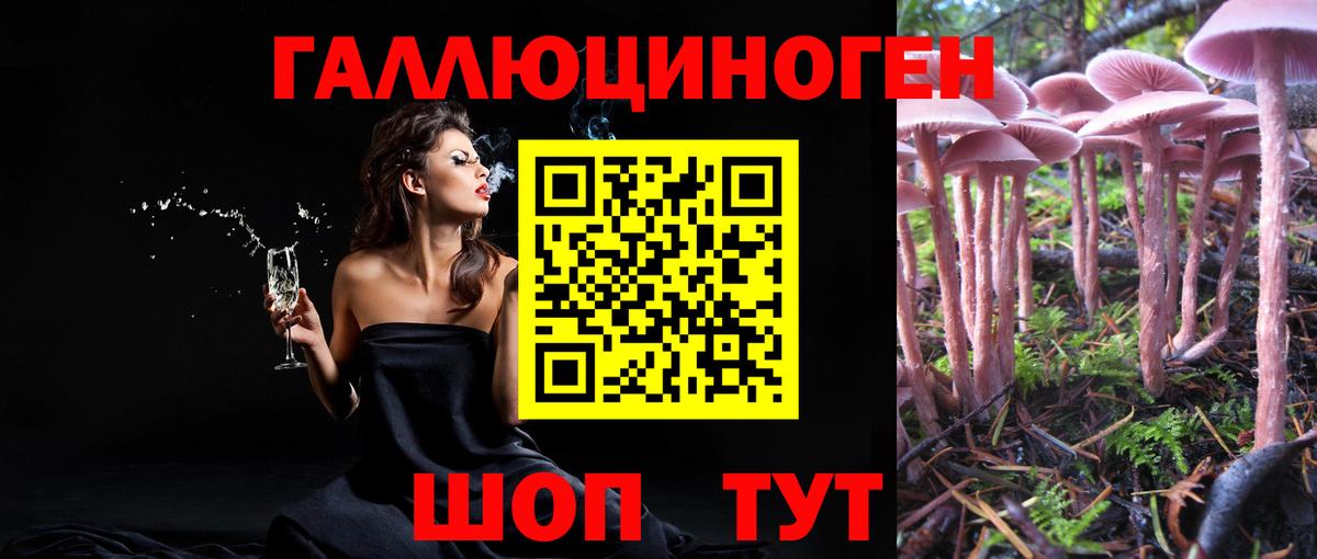 Псилоцибиновые грибы GOLDEN TEACHER  Вход с VPN  Родники 